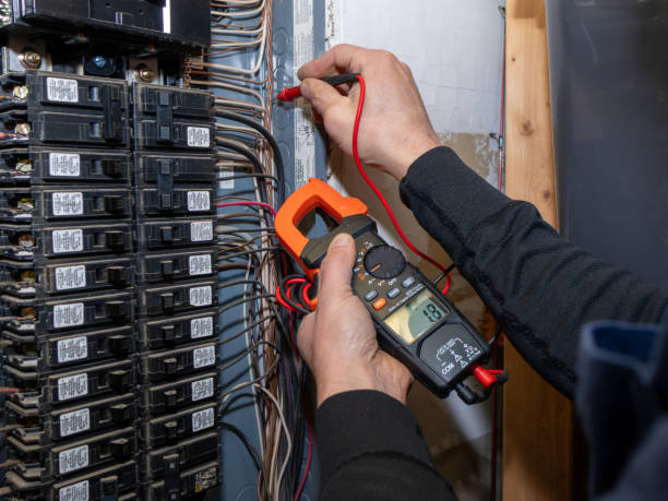 Best Electrician for Home Renovation  in Bridgeville, DE